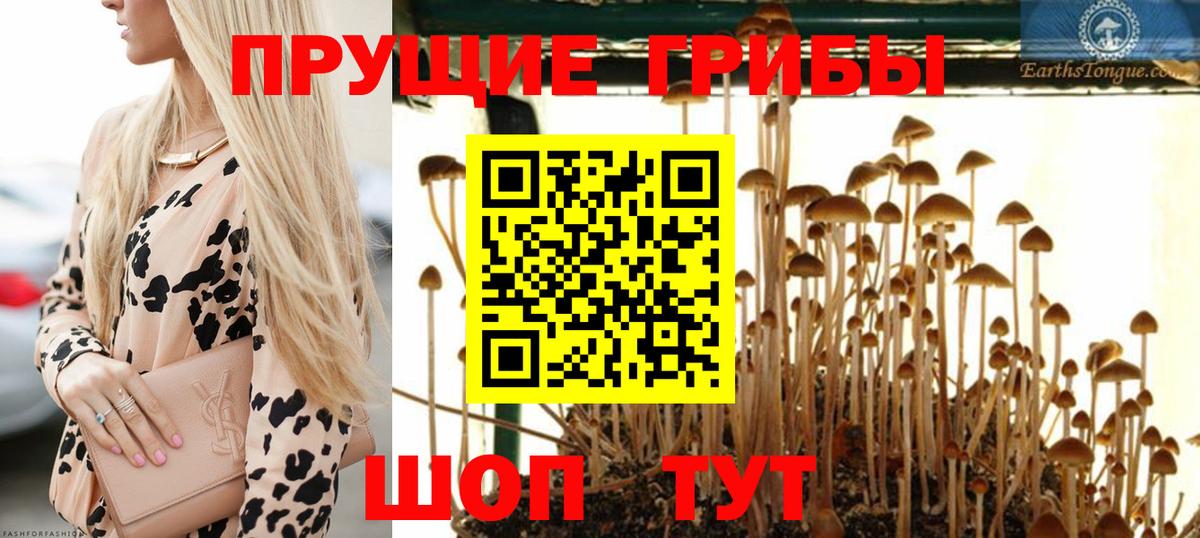 Галлюциногенные грибы Psilocybine cubensis  Псилоцибиновые грибы мухоморы  Корсаков  магазин продажи   Вход с VPN 